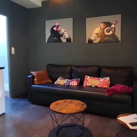 Or 1-bedroom - Chill Your Way Apartment Dijon