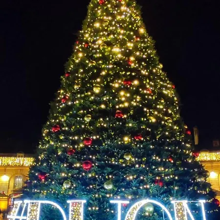 Le Courbet Fabulous 1-bedroom * Dijon