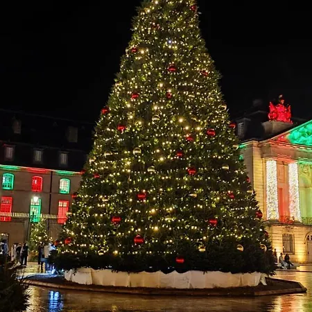 Le Courbet Fabulous 1-bedroom Lägenhet Dijon