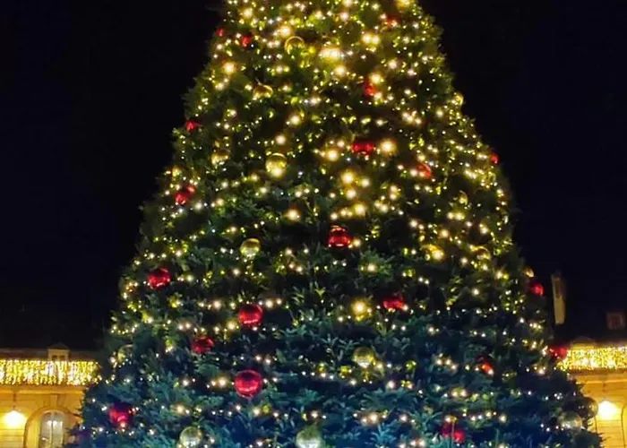 Le Courbet Fabulous 1-bedroom * Dijon